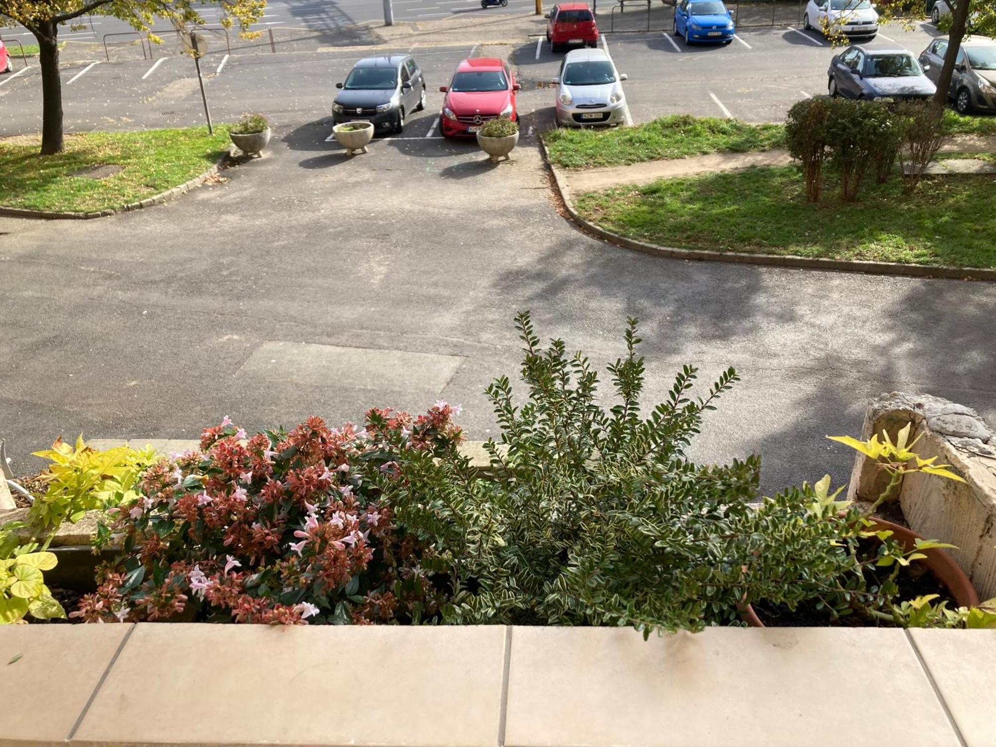 Belvarosi Classic Apartman 85 Square Meters Szombathely Zewnętrze zdjęcie